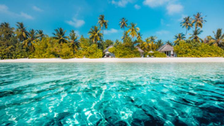 Mountain consectetur adipiscing elit In quis lacus a odio suscipit luctus