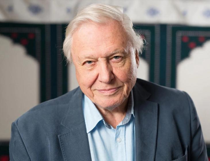 A Century of Wonder: David Attenborough Marks 100 Years on Planet Earth