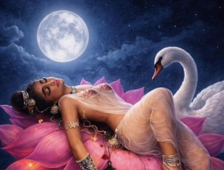CARIBBEAN WORLD MAGAZINE : YOUR HOROSCOPE FOR JULY 2026