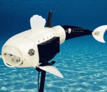 Robotic Fish