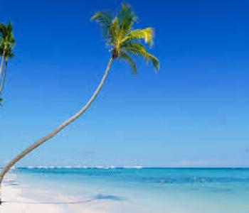 SHORE EXCURSIONS MAIN