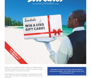 TAChristmasIncentiveFlyer 1