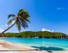 Local Legends and Cultural Icons of the Caribbean: Artists and Musicians You Should Know