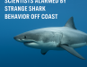 Guardians of the Deep for 450 Million Years: Scientists Alarmed by Strange Shark Behavior Off Coast