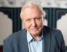 A Century of Wonder: David Attenborough Marks 100 Years on Planet Earth