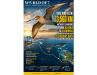 THIS BIRD FLEW 13,560 KM WITHOUT LANDING FROM ALASKA TO TASMANIA